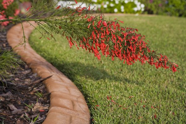 Brick Edging in Prescott Valley
