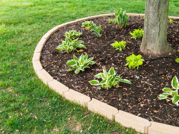 Stone Border Installation in Prescott Valley