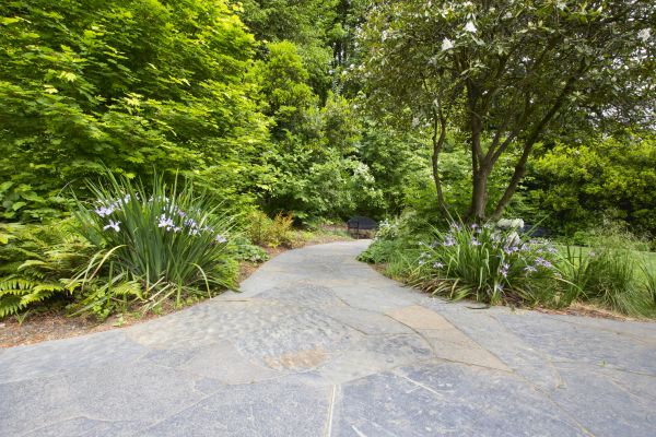Stone Hardscape Service in Prescott Valley